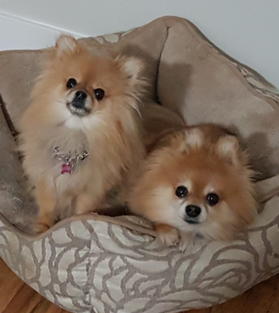 poms